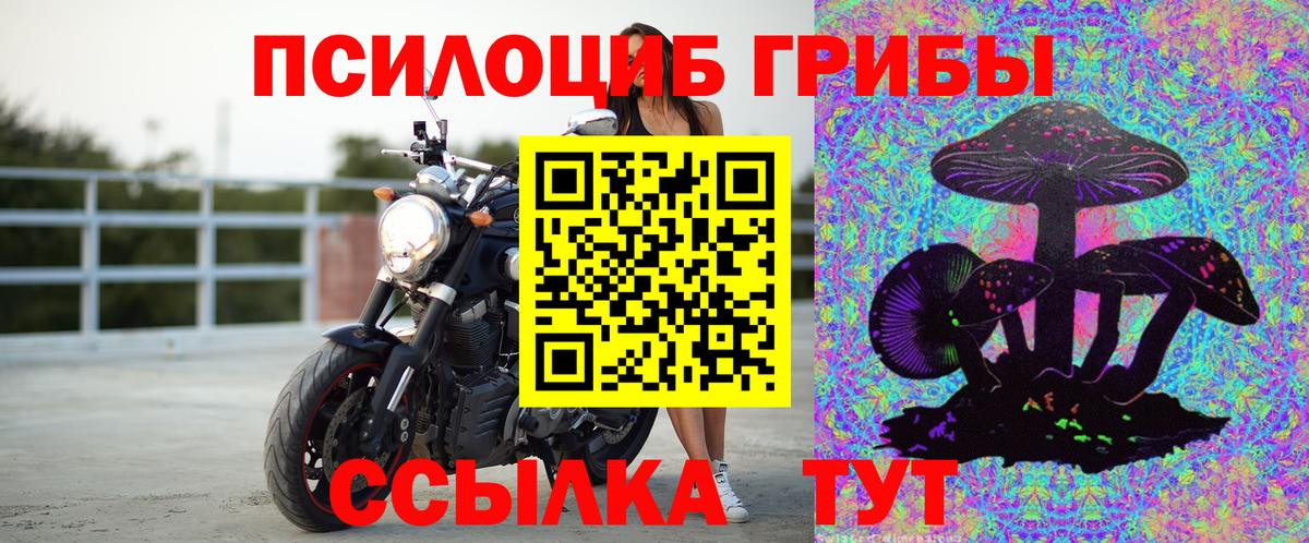 Тара  Псилоцибиновые грибы GOLDEN TEACHER  Вход с VPN 